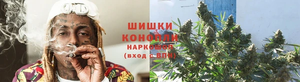 шишки Балахна