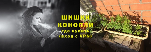 ГАЛЛЮЦИНОГЕННЫЕ ГРИБЫ Наволоки