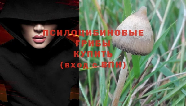 твердый Верея