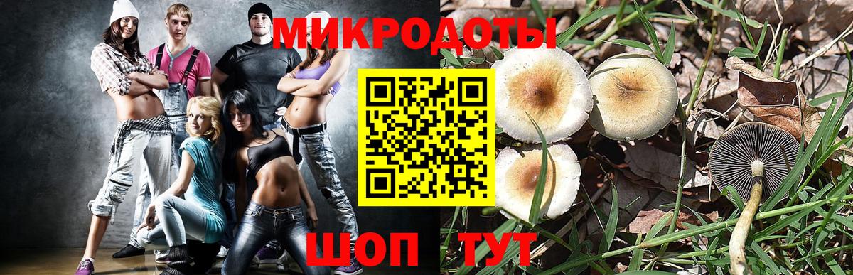 Галлюциногенные грибы мицелий Клинцы