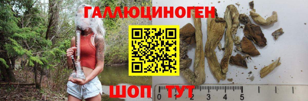 Псилоцибиновые грибы мухоморы  Вход с VPN  Клинцы 