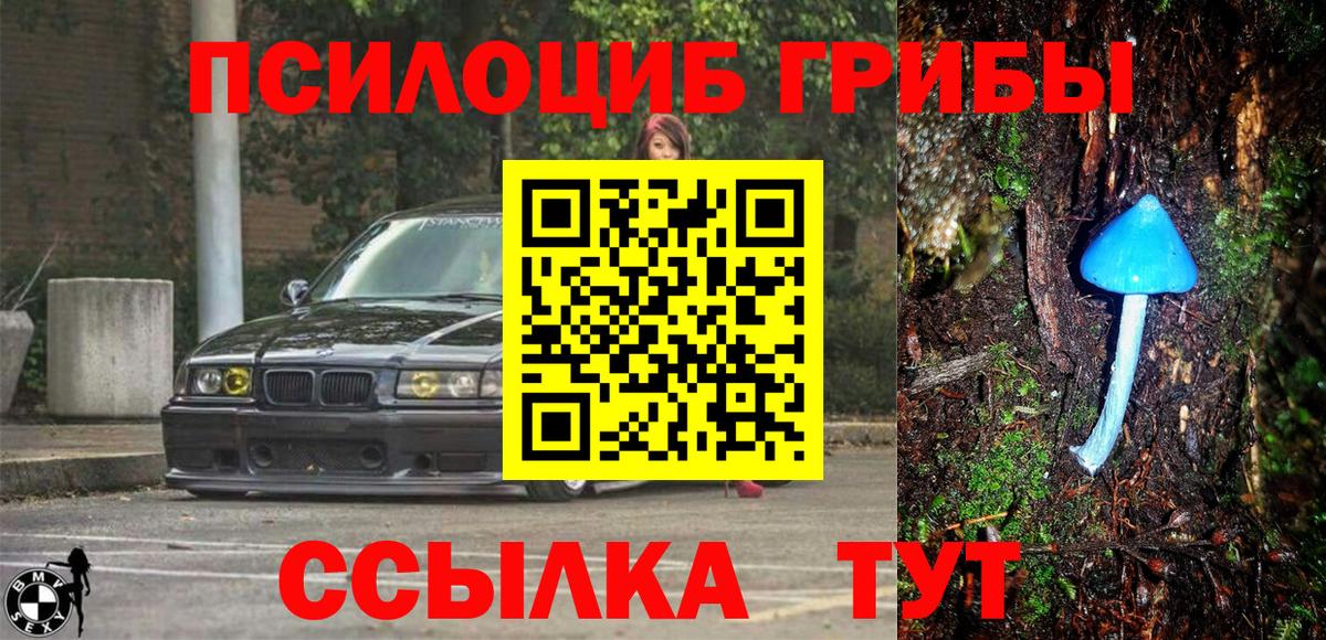 Галлюциногенные грибы MAGIC MUSHROOMS Клинцы